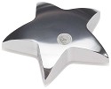 Paperweight - Silver
